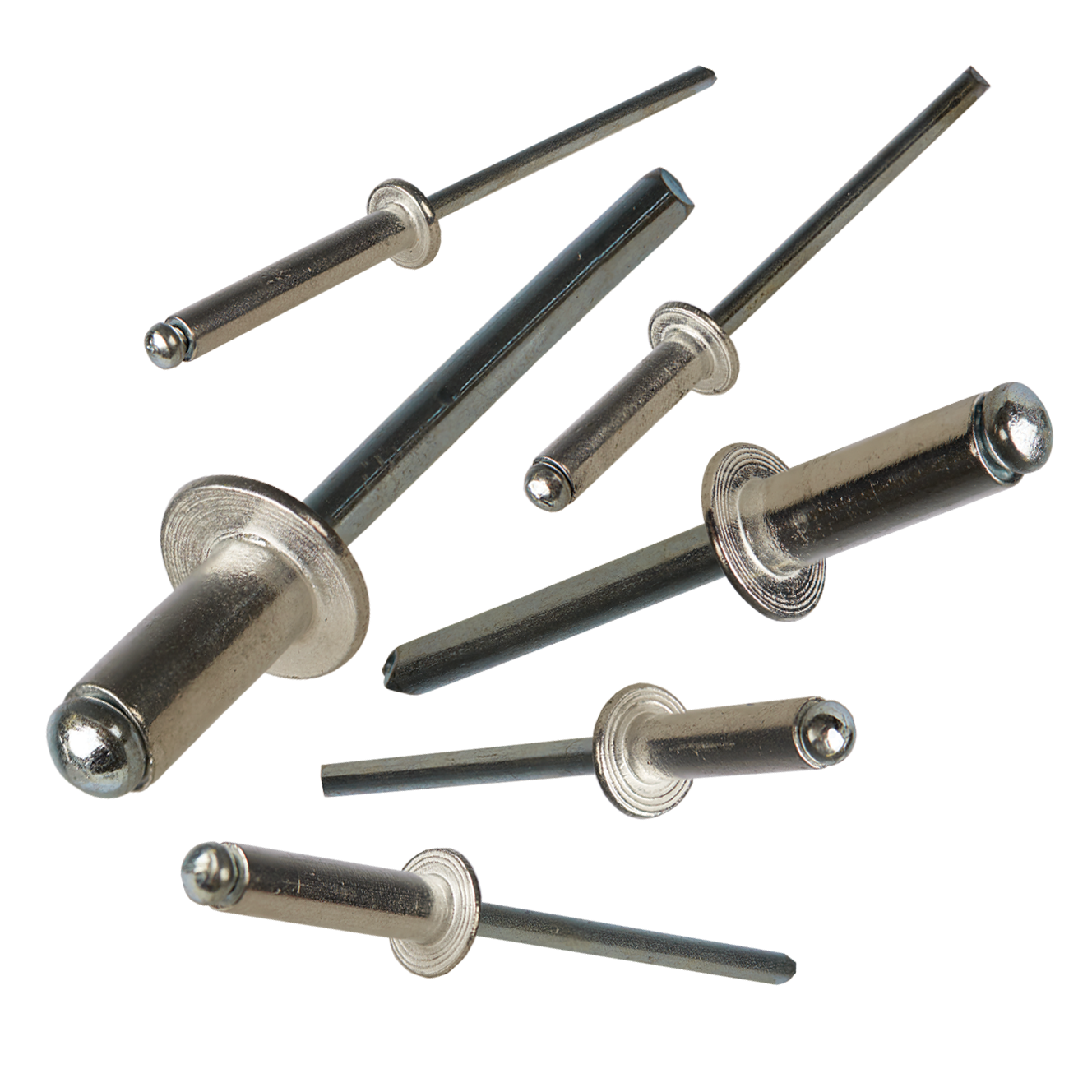 Rivets Elite Bolts and Fasteners
